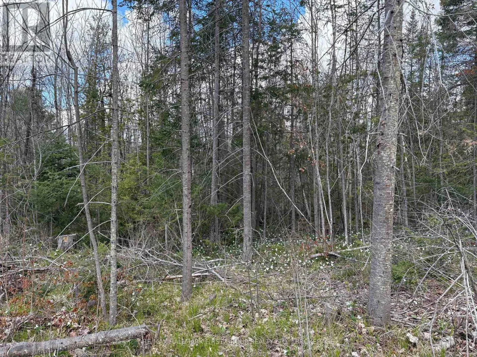 LOT 0 COUNTY ROAD 38