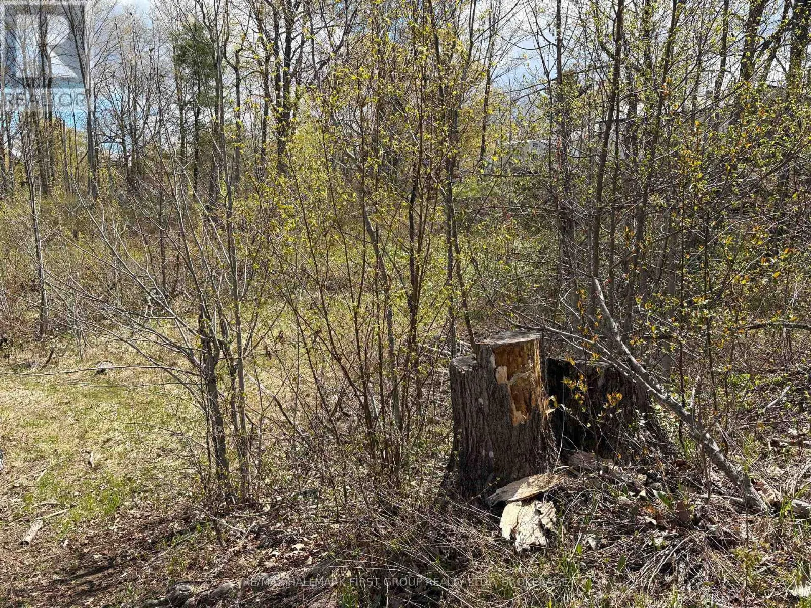 LOT 0 COUNTY ROAD 38