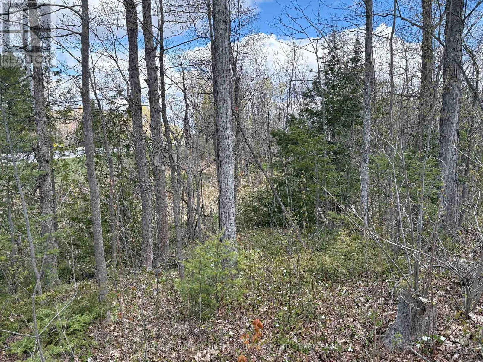 LOT 0 COUNTY ROAD 38
