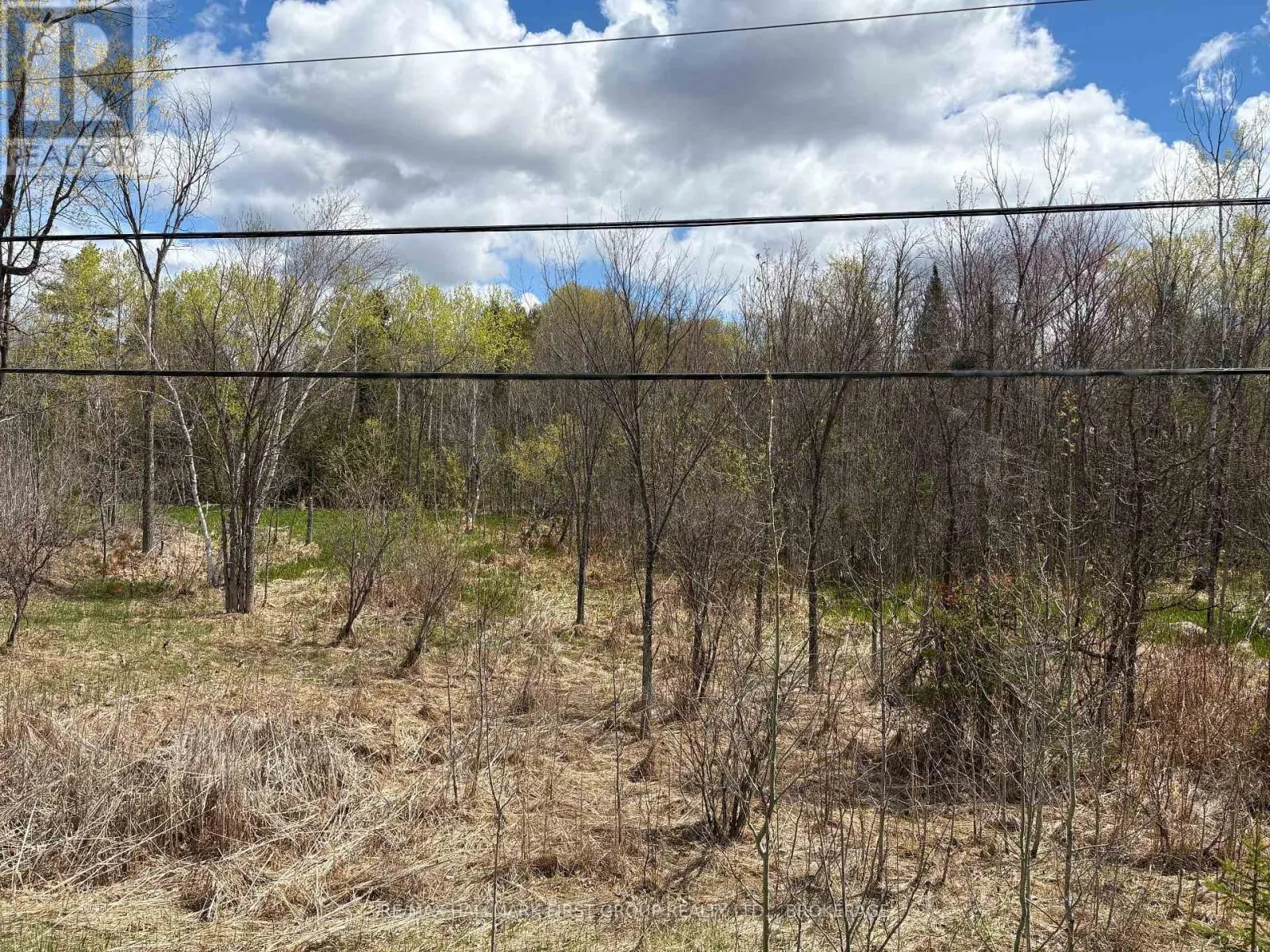 LOT 0 COUNTY ROAD 38