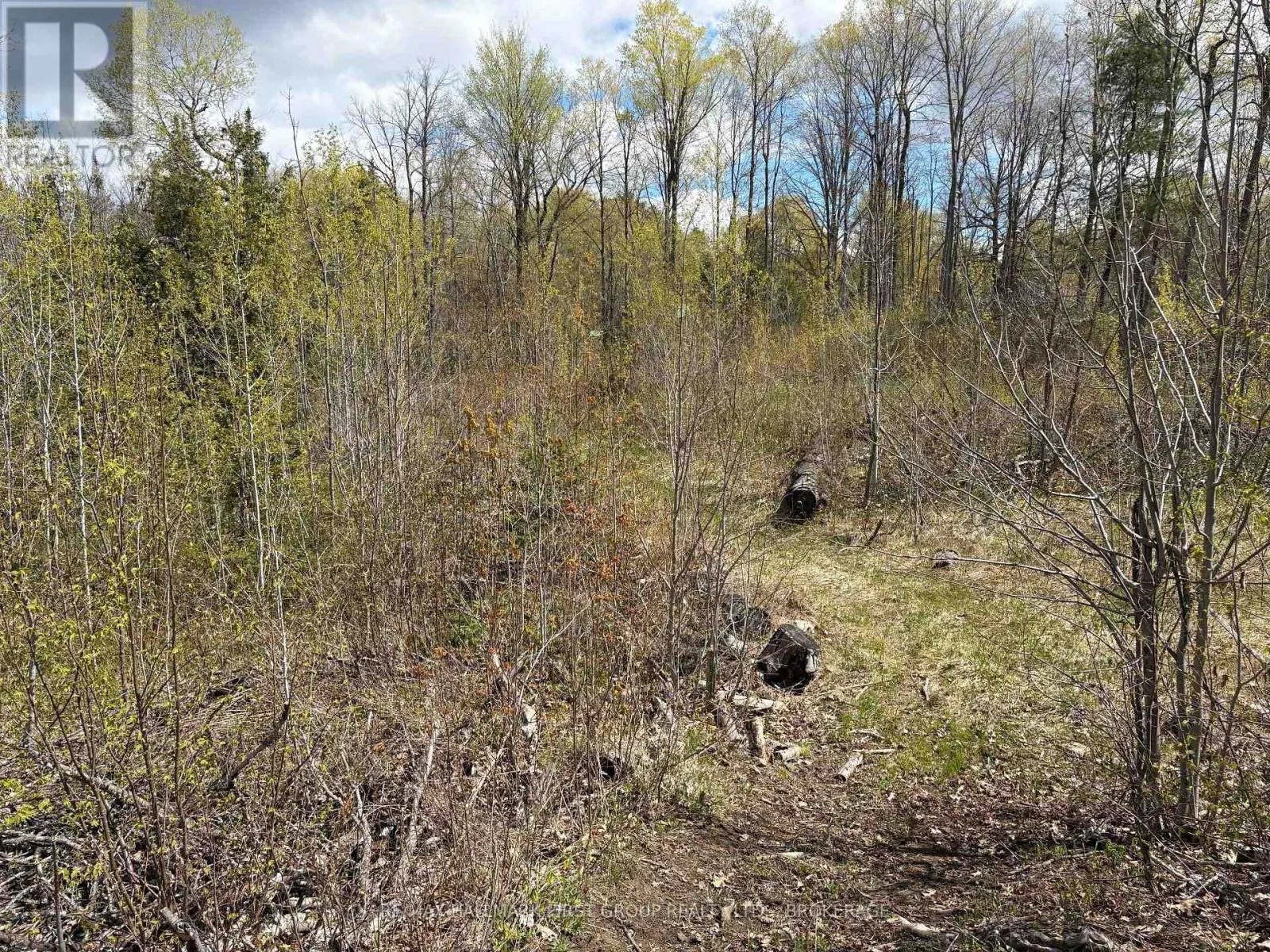LOT 0 COUNTY ROAD 38