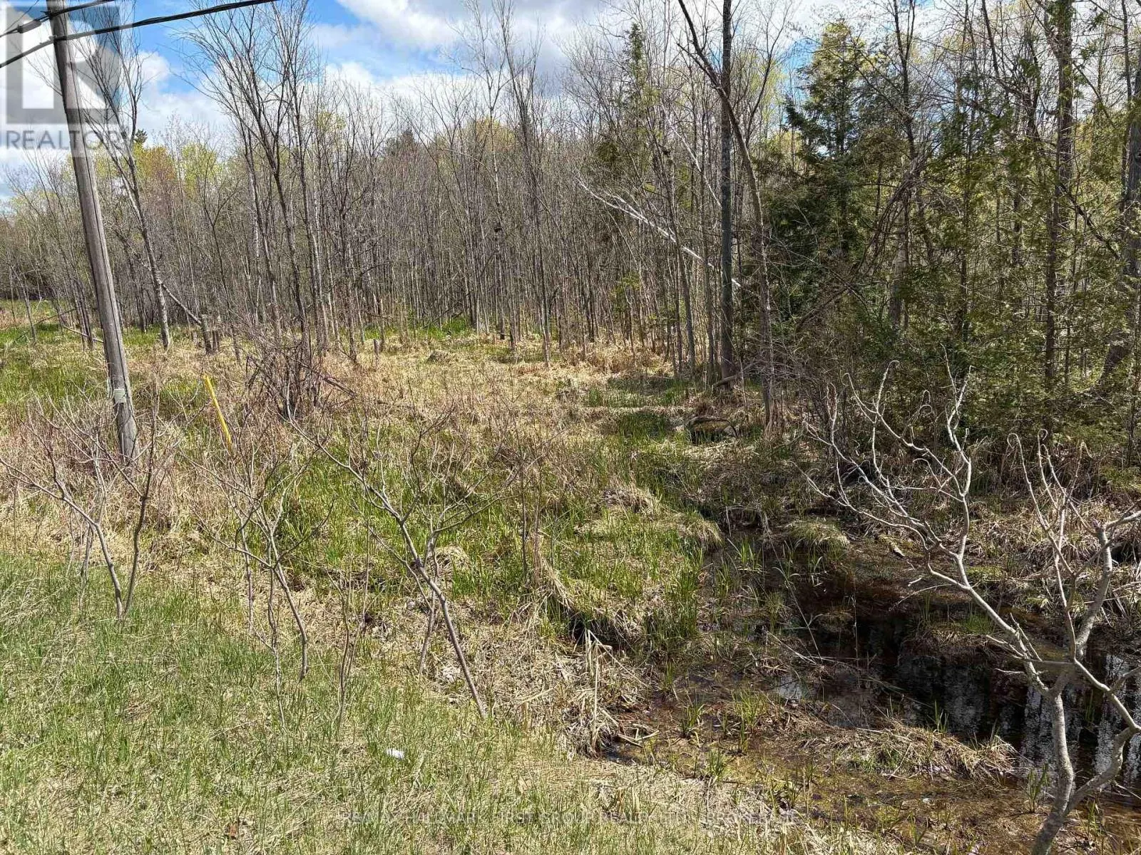 LOT 0 COUNTY ROAD 38