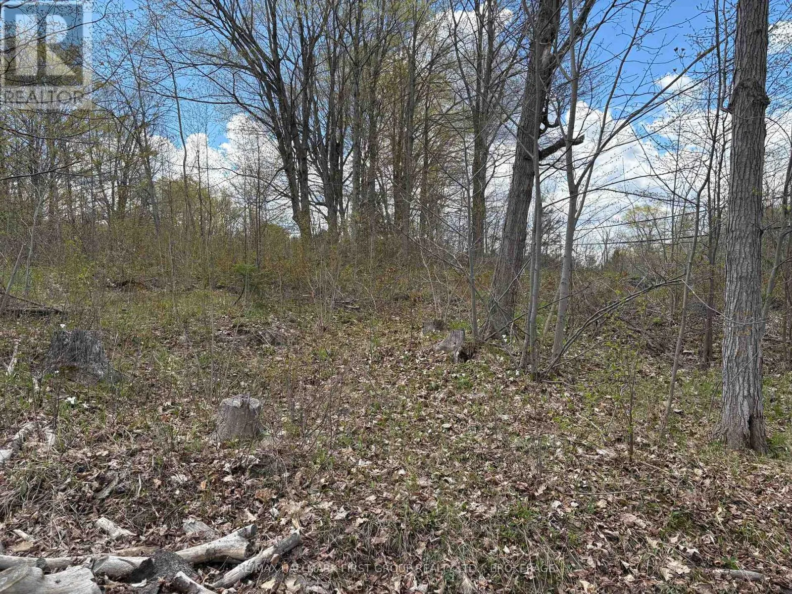 LOT 0 COUNTY ROAD 38