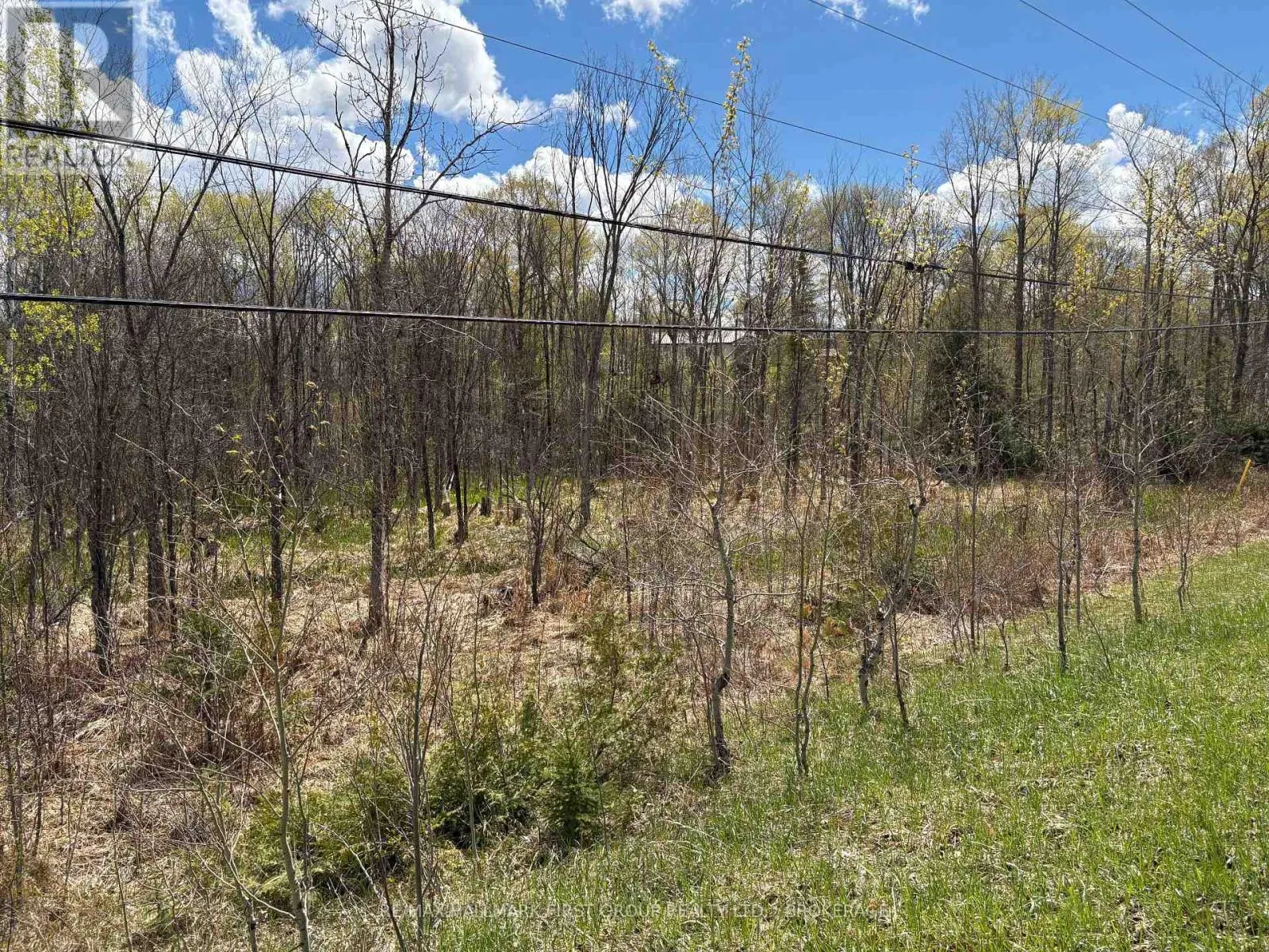 LOT 0 COUNTY ROAD 38