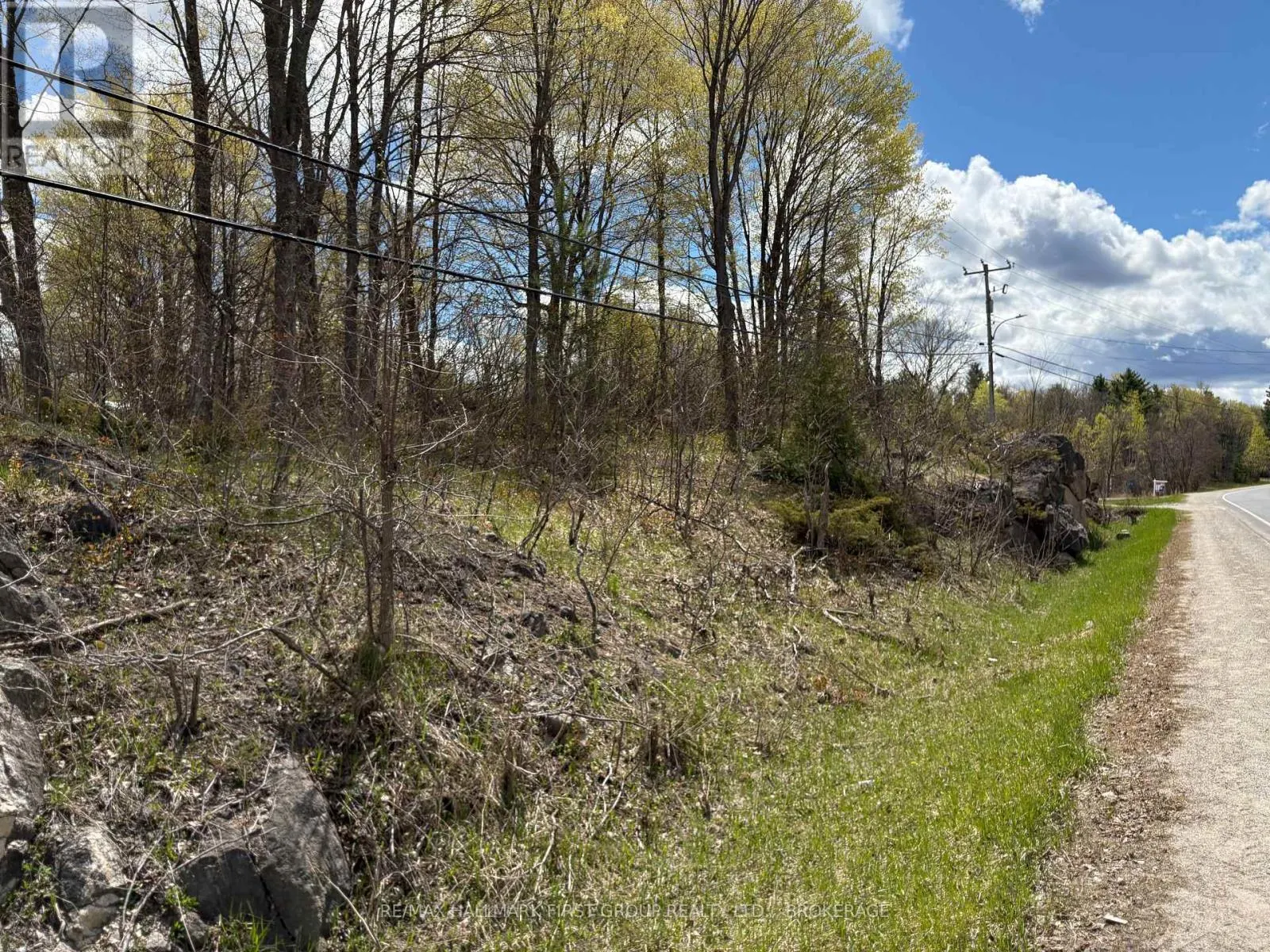 LOT 0 COUNTY ROAD 38
