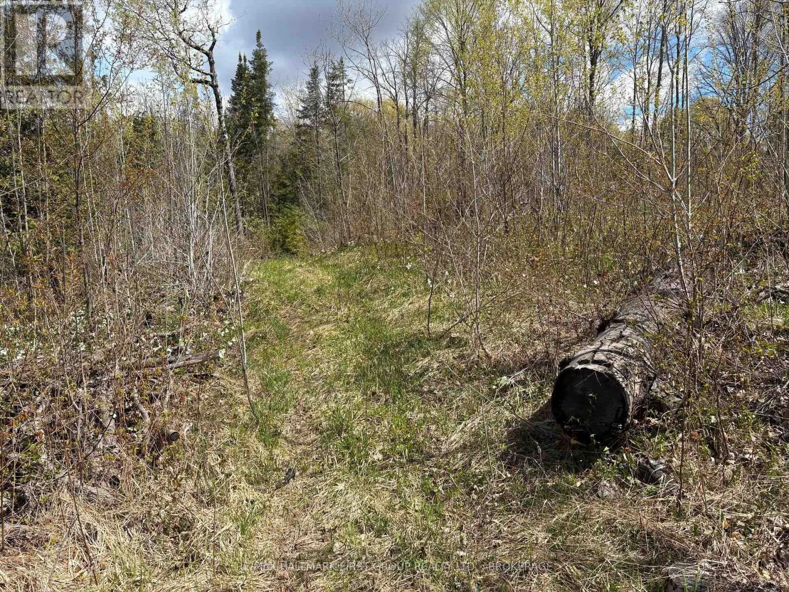LOT 0 COUNTY ROAD 38