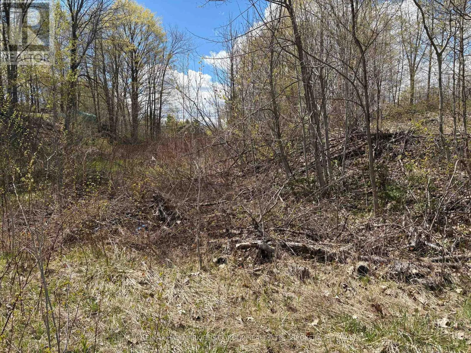 LOT 0 COUNTY ROAD 38