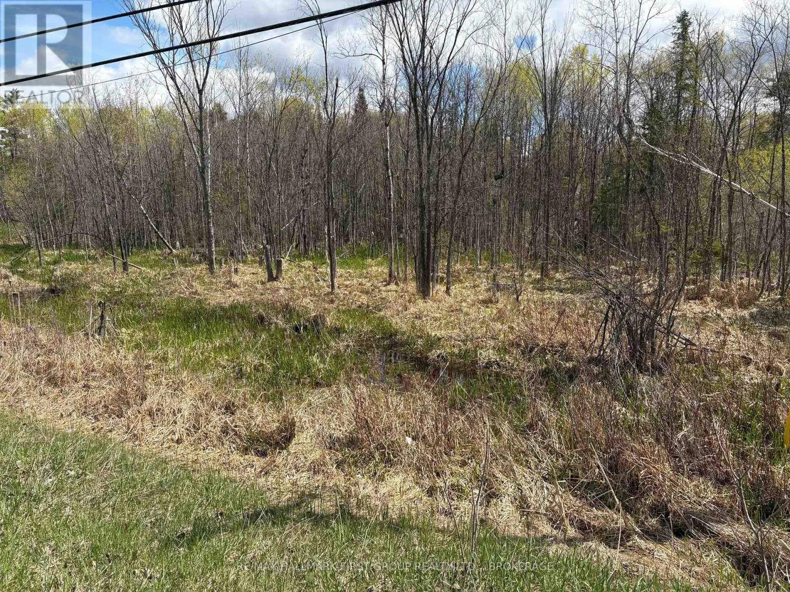 LOT 0 COUNTY ROAD 38