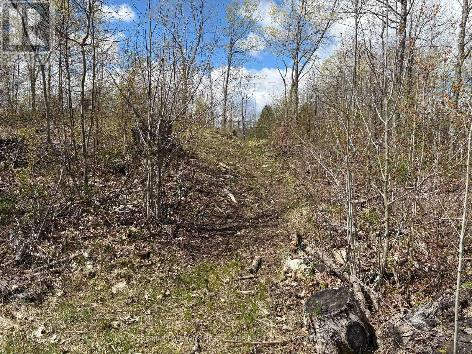 LOT 0 COUNTY ROAD 38