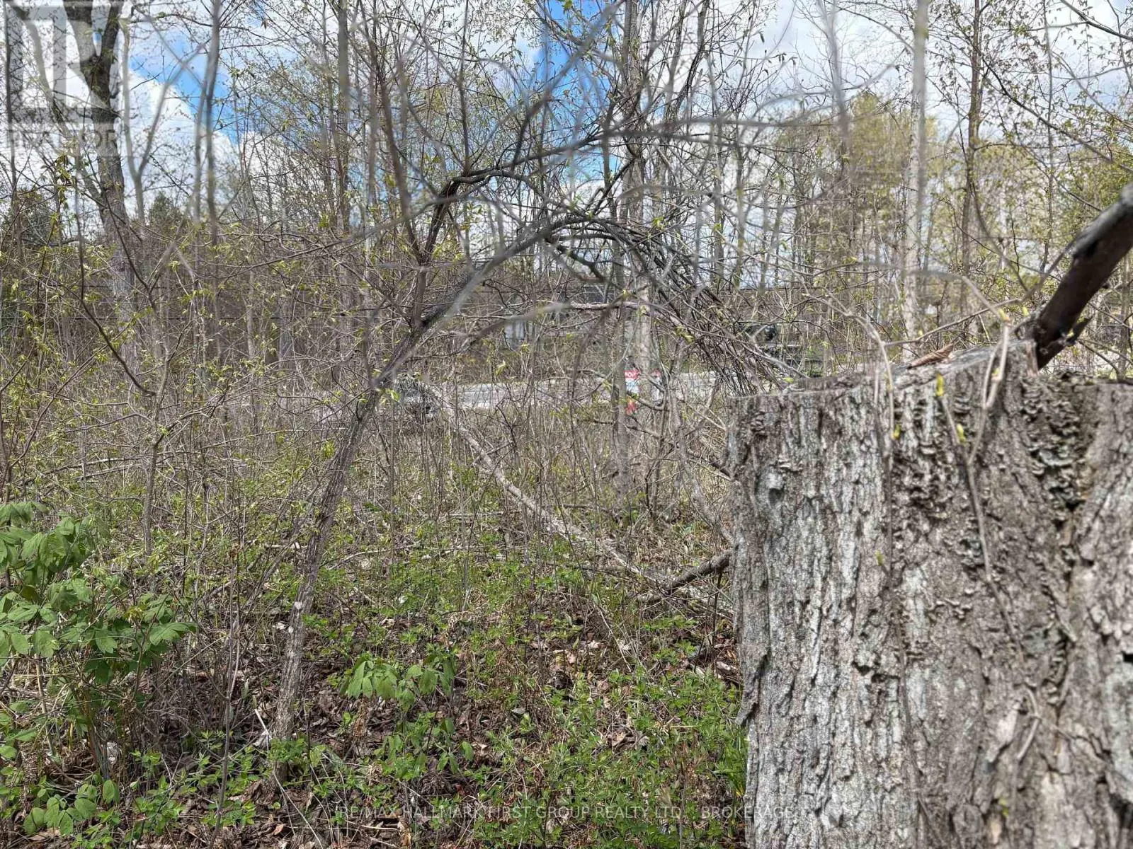 LOT 0 COUNTY ROAD 38