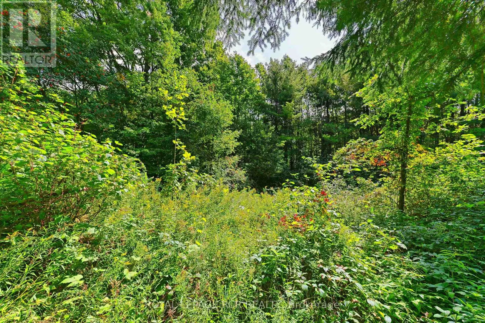 LOT 29 PRINCE OF WALES ROAD
