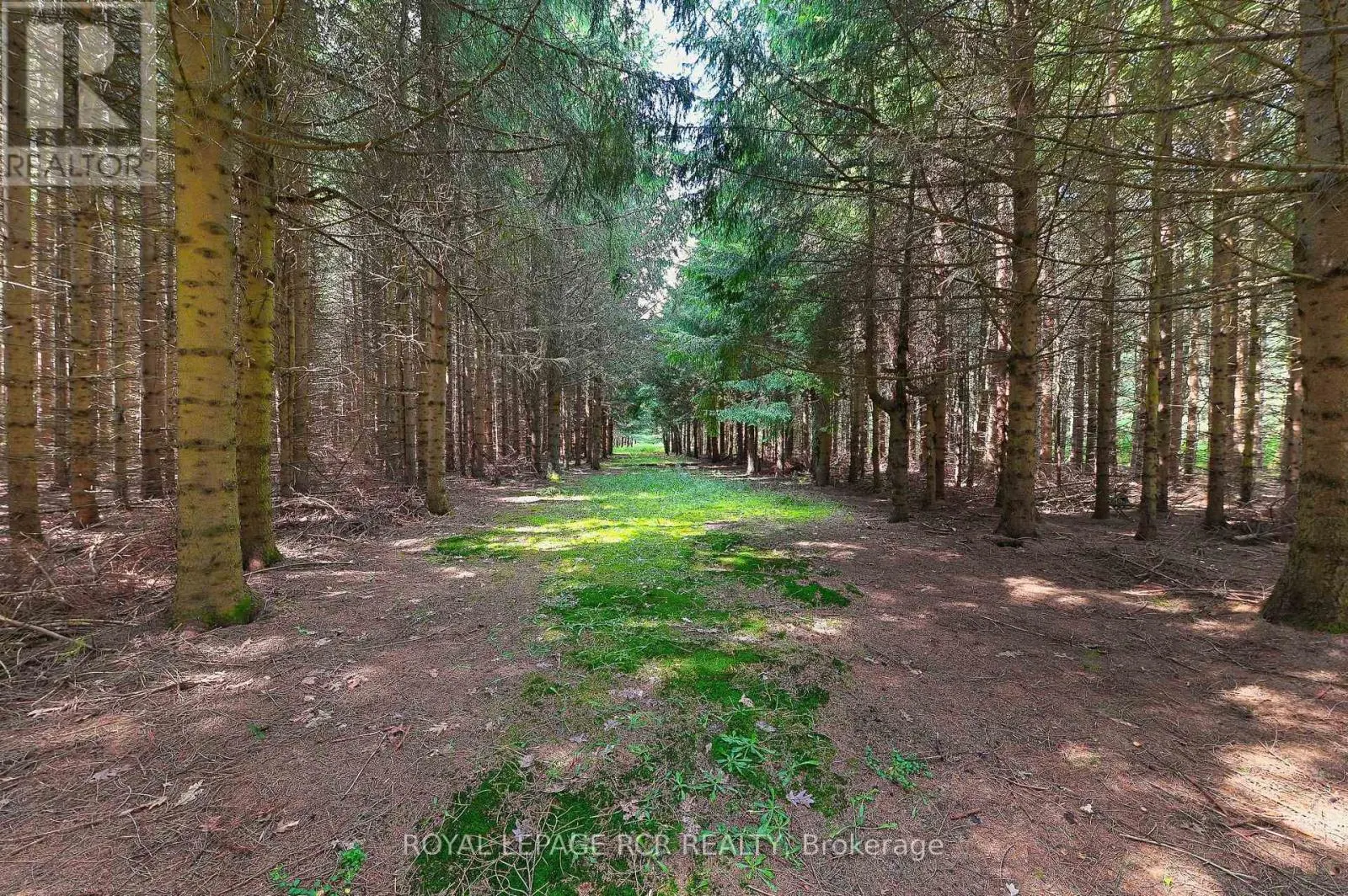 LOT 29 PRINCE OF WALES ROAD