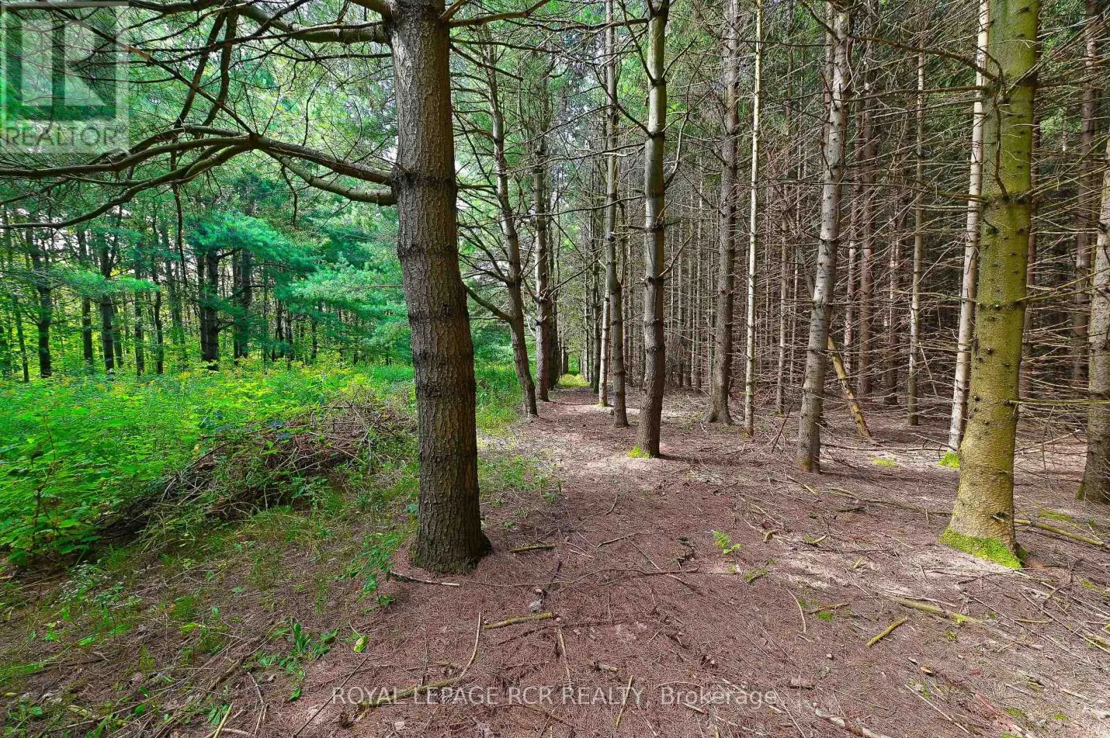 LOT 29 PRINCE OF WALES ROAD
