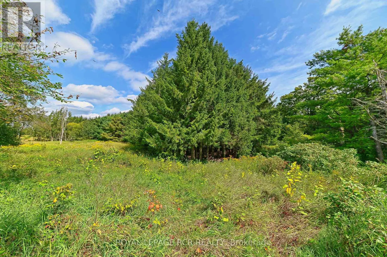 LOT 29 PRINCE OF WALES ROAD