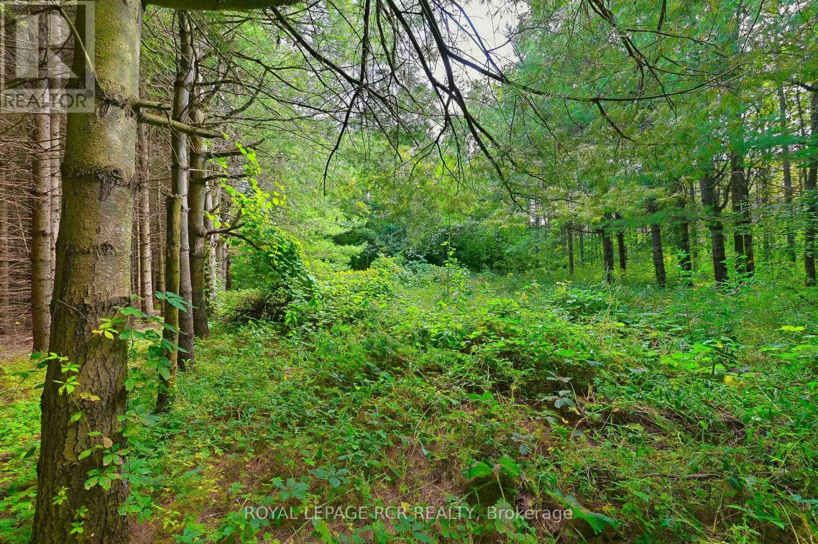 LOT 29 PRINCE OF WALES ROAD