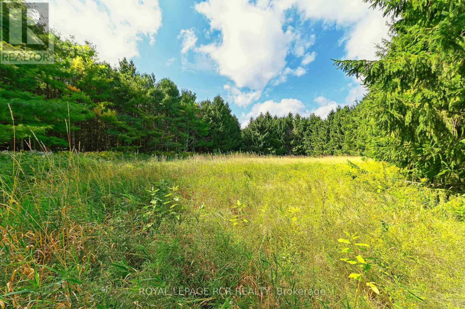 LOT 29 PRINCE OF WALES ROAD