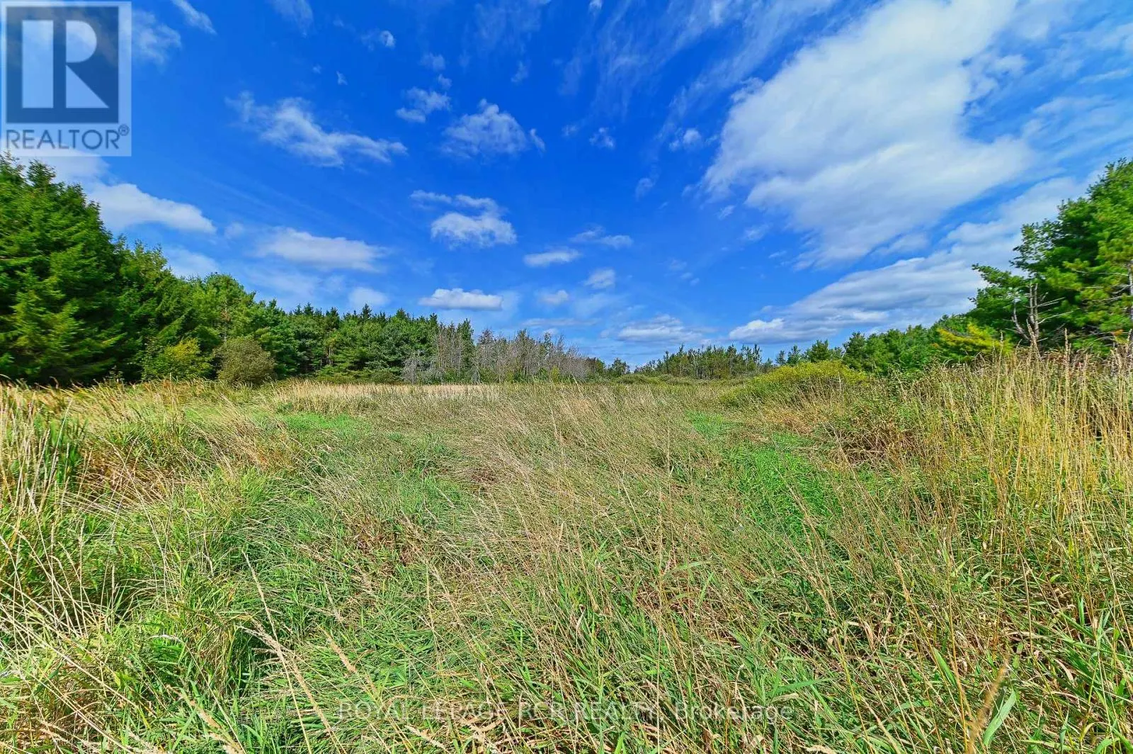 LOT 29 PRINCE OF WALES ROAD