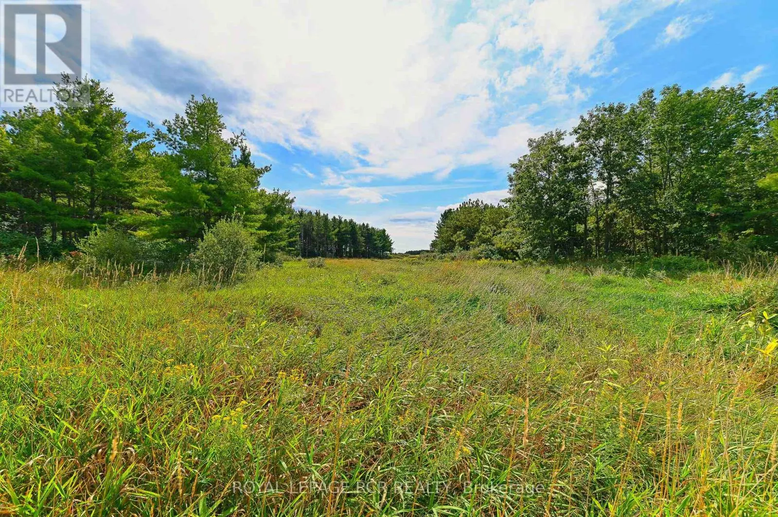 LOT 29 PRINCE OF WALES ROAD