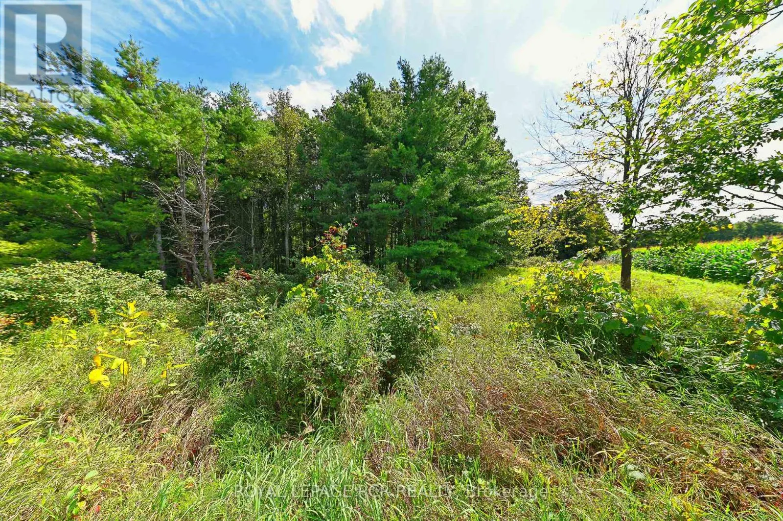 LOT 29 PRINCE OF WALES ROAD