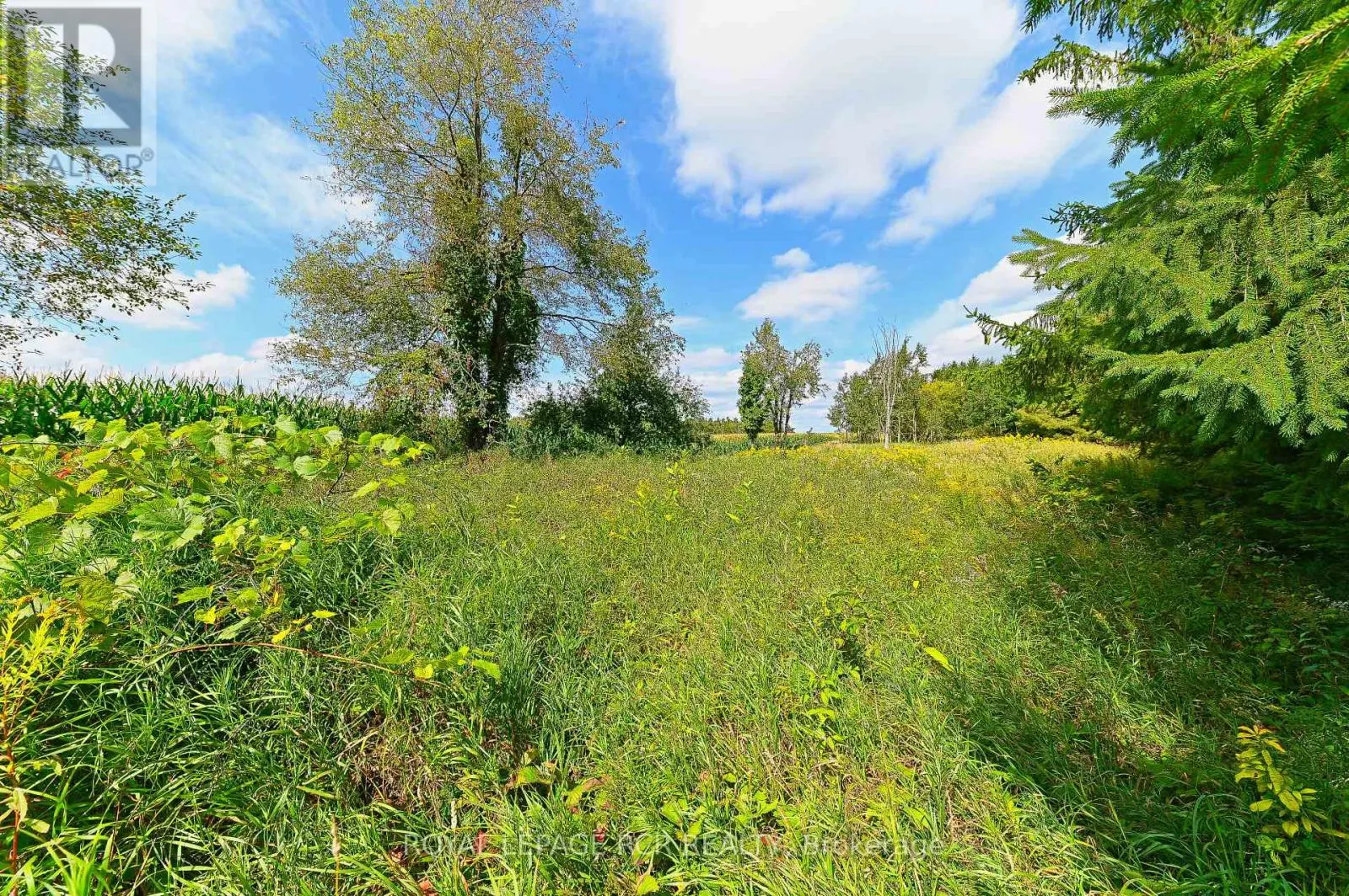 LOT 29 PRINCE OF WALES ROAD
