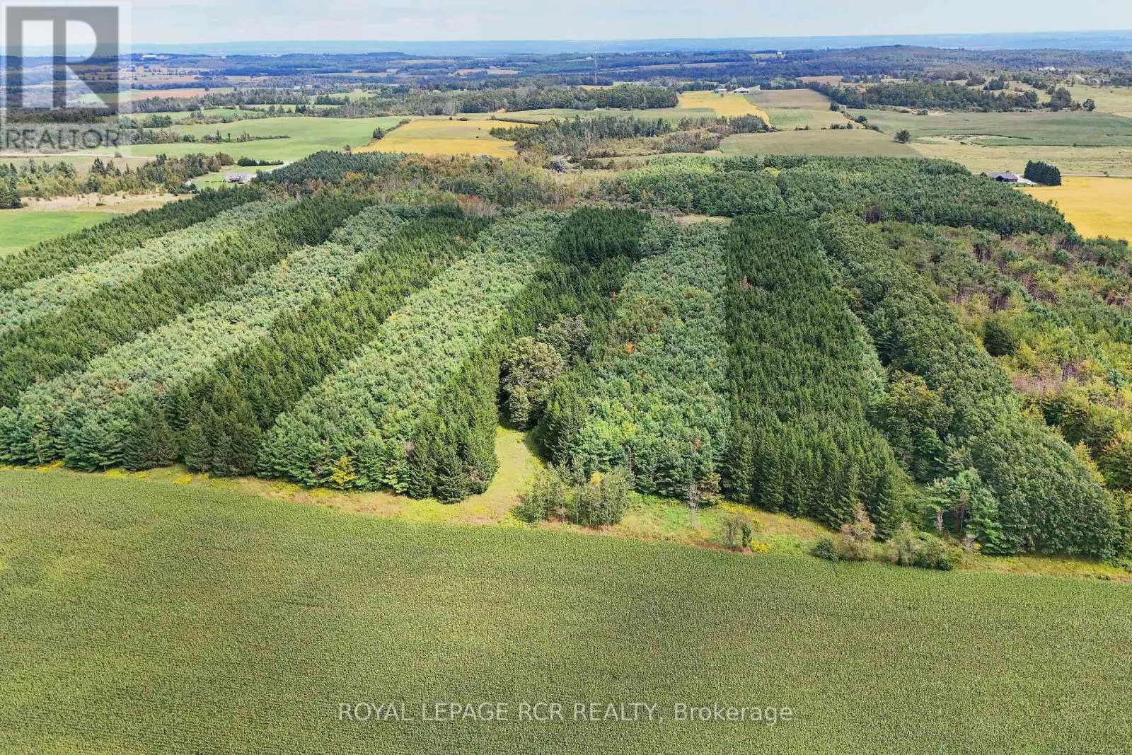 LOT 29 PRINCE OF WALES ROAD