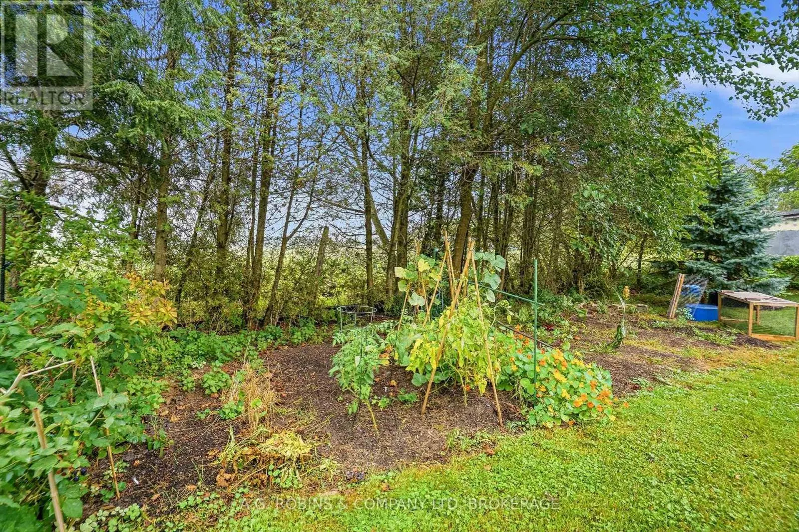 12040 LAKESHORE ROAD