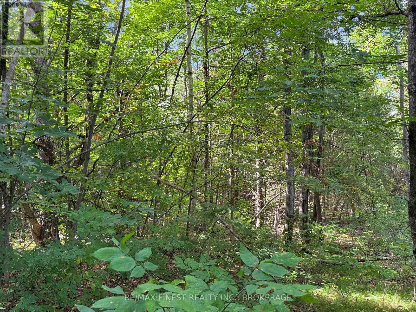 4900 COUNTY RD 4