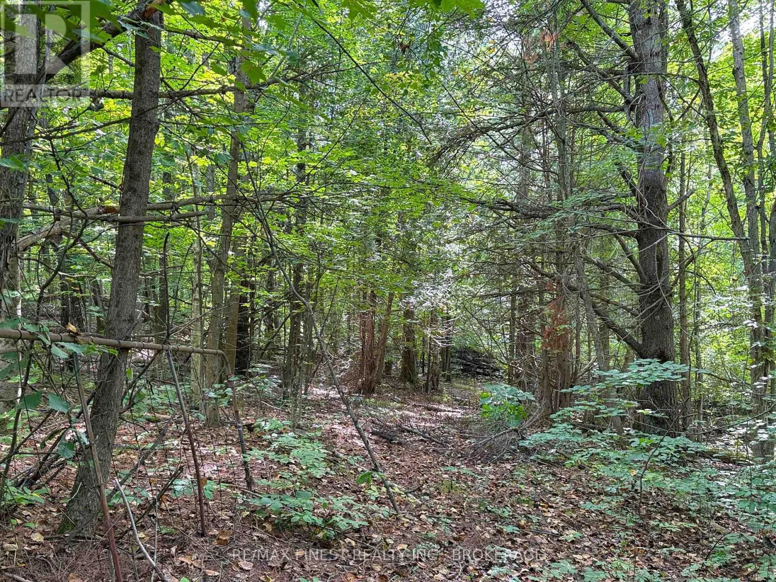 4900 COUNTY RD 4
