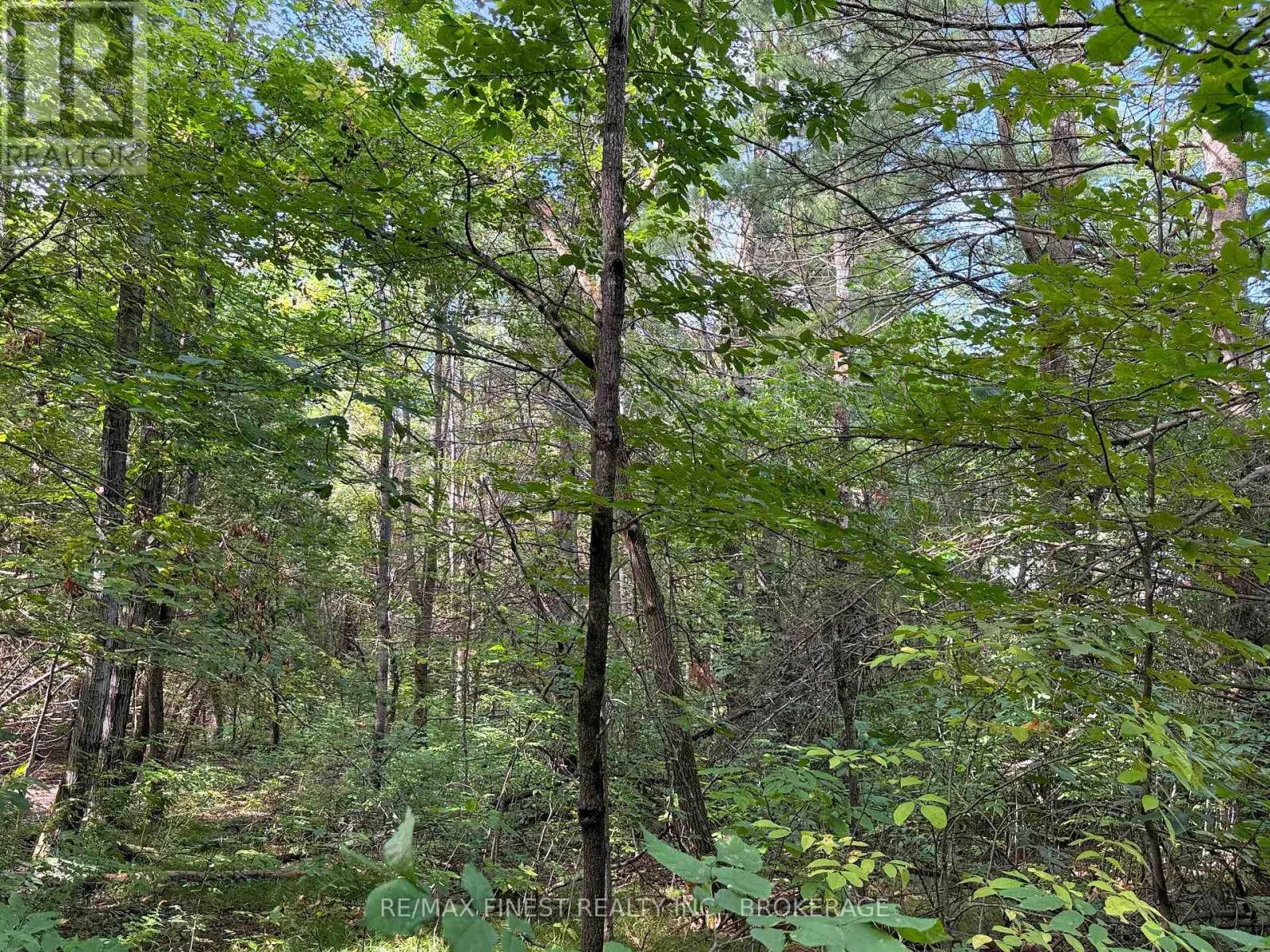 4900 COUNTY RD 4