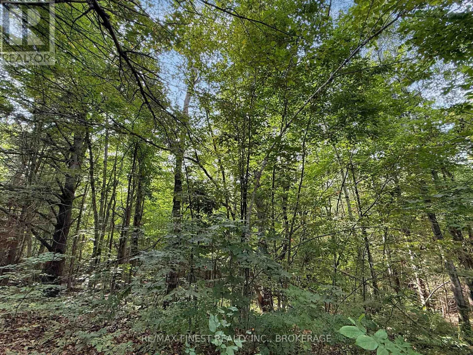 4900 COUNTY RD 4
