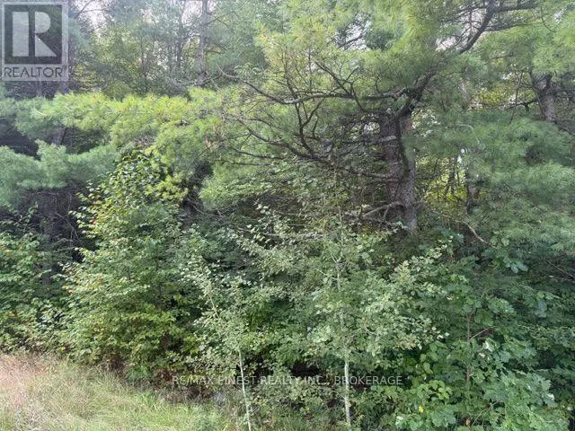 4900 COUNTY RD 4