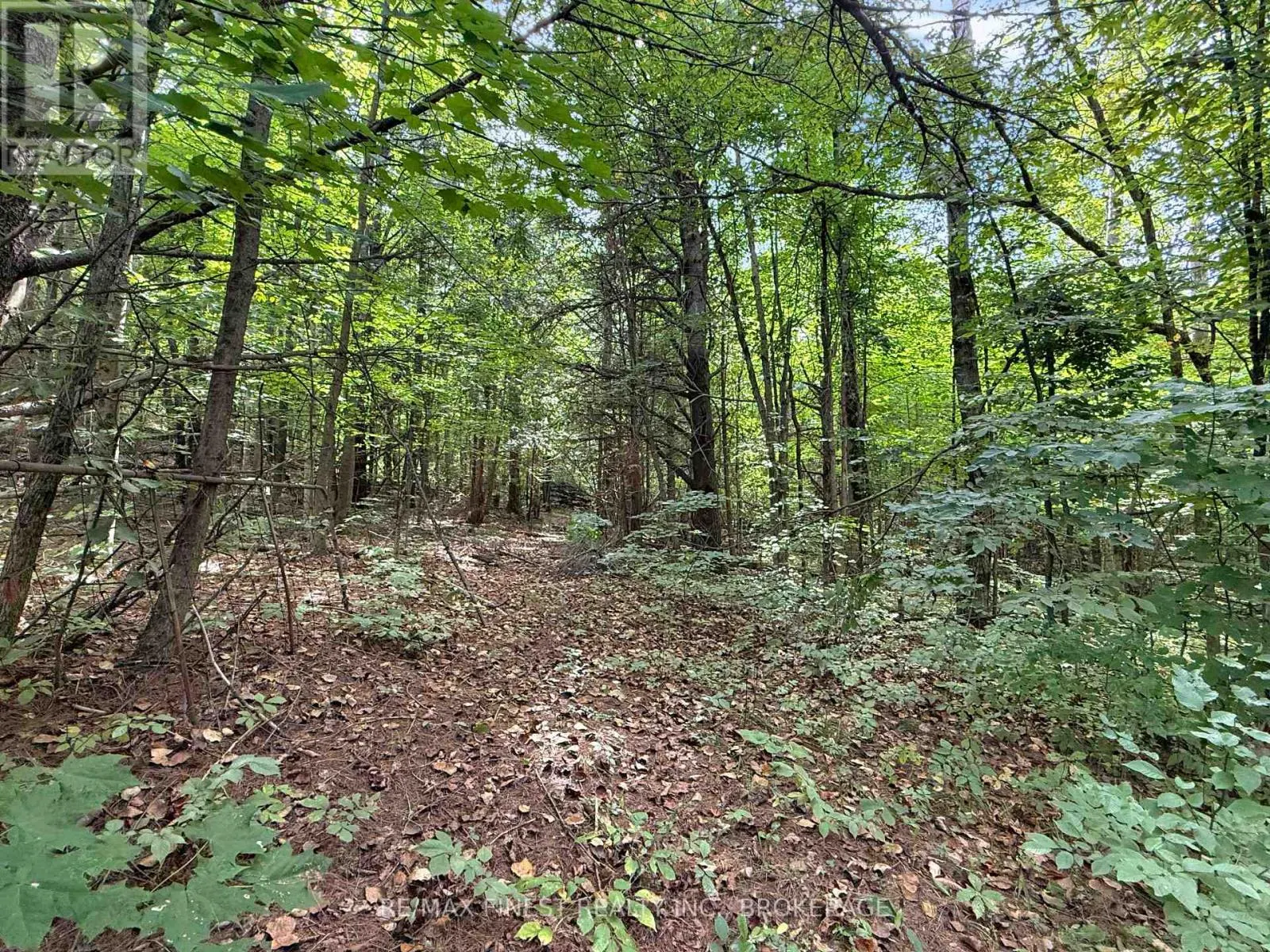 4900 COUNTY RD 4