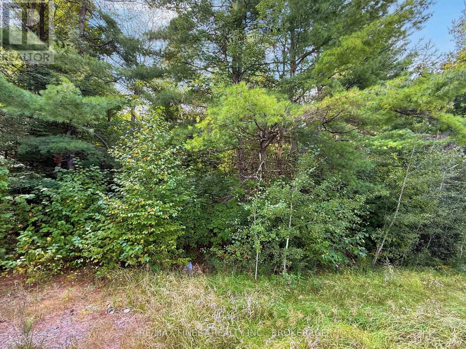 4900 COUNTY RD 4
