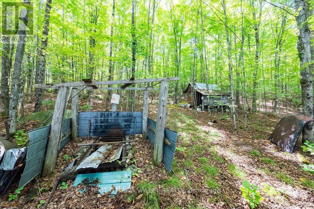 00 OPEONGO ROAD