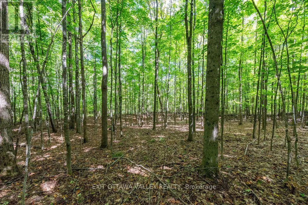 00 OPEONGO ROAD