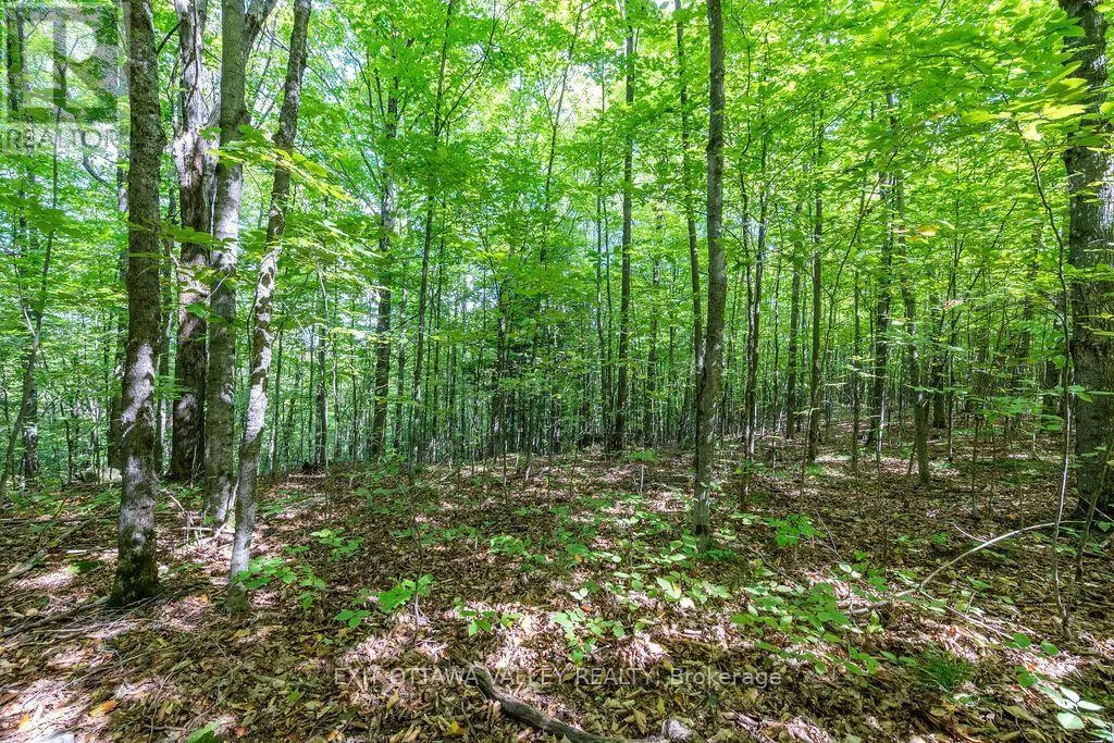 00 OPEONGO ROAD