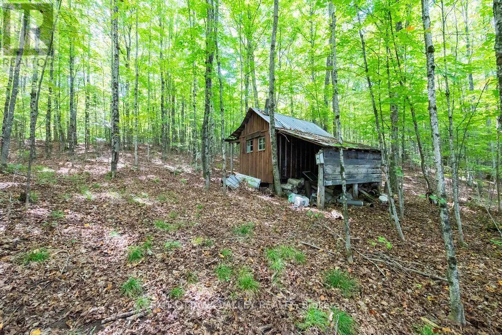 00 OPEONGO ROAD
