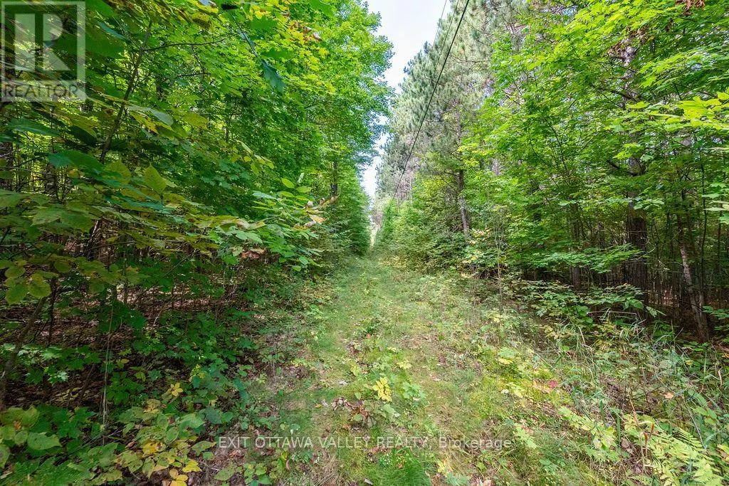 00 OPEONGO ROAD