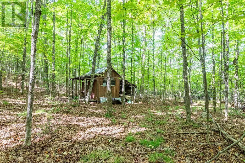 00 OPEONGO ROAD