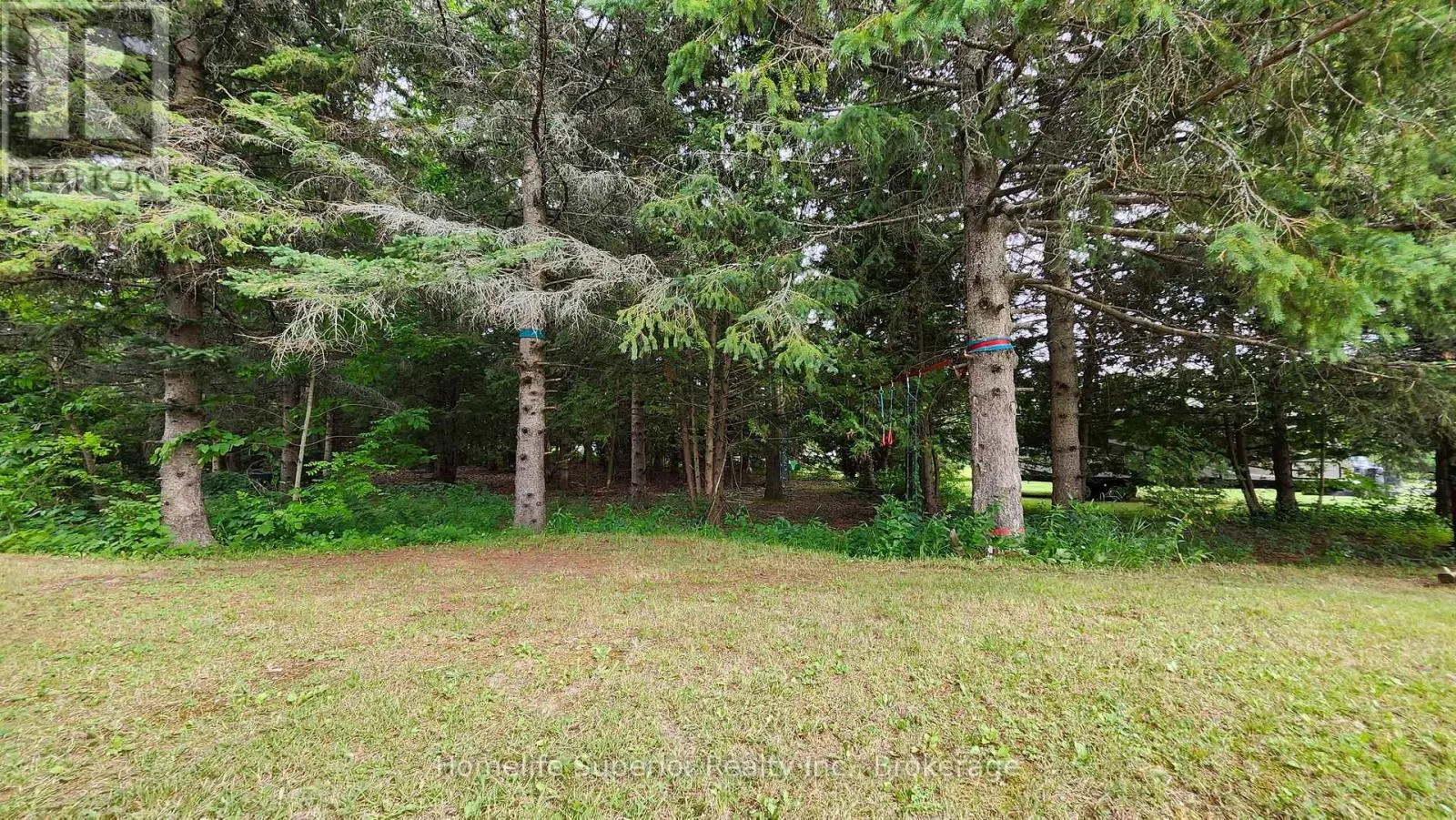 32 WILDROSE CIRCLE