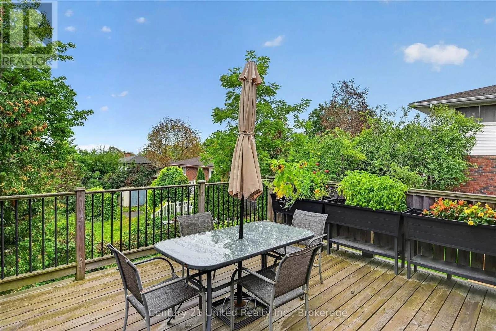 537 MONTCALM DRIVE