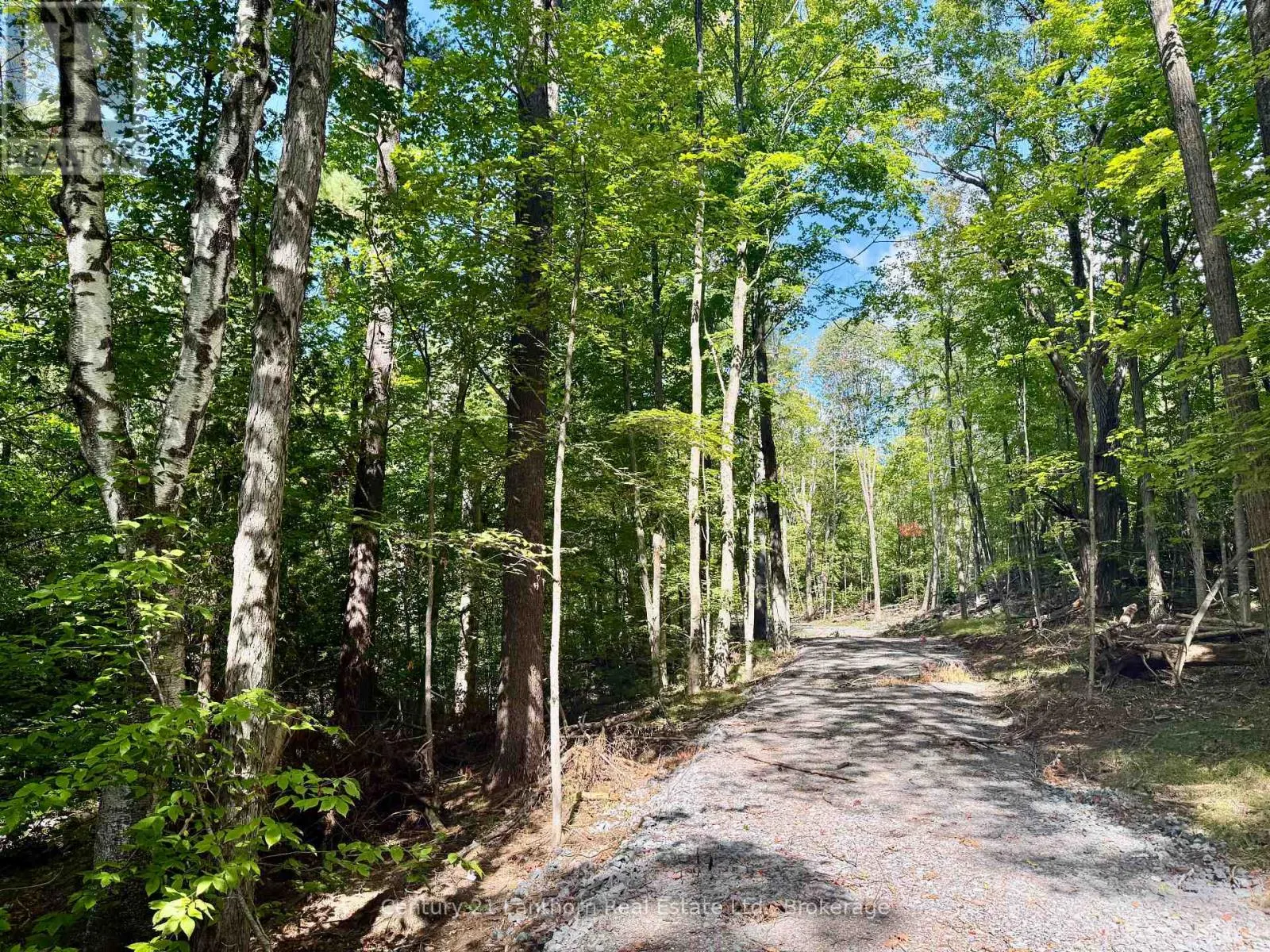 00 NORTH LOT HIGHWAY 62