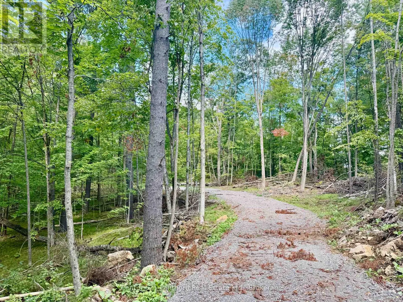 00 NORTH LOT HIGHWAY 62