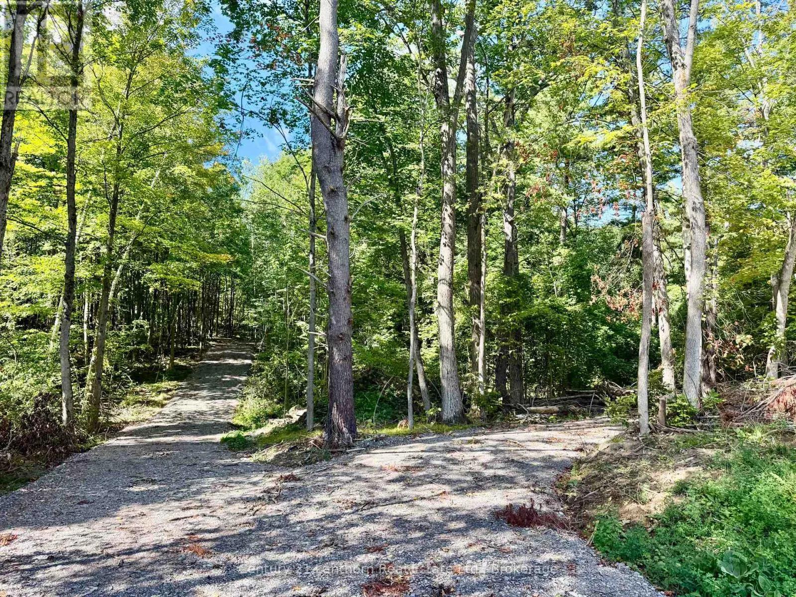 00 NORTH LOT HIGHWAY 62