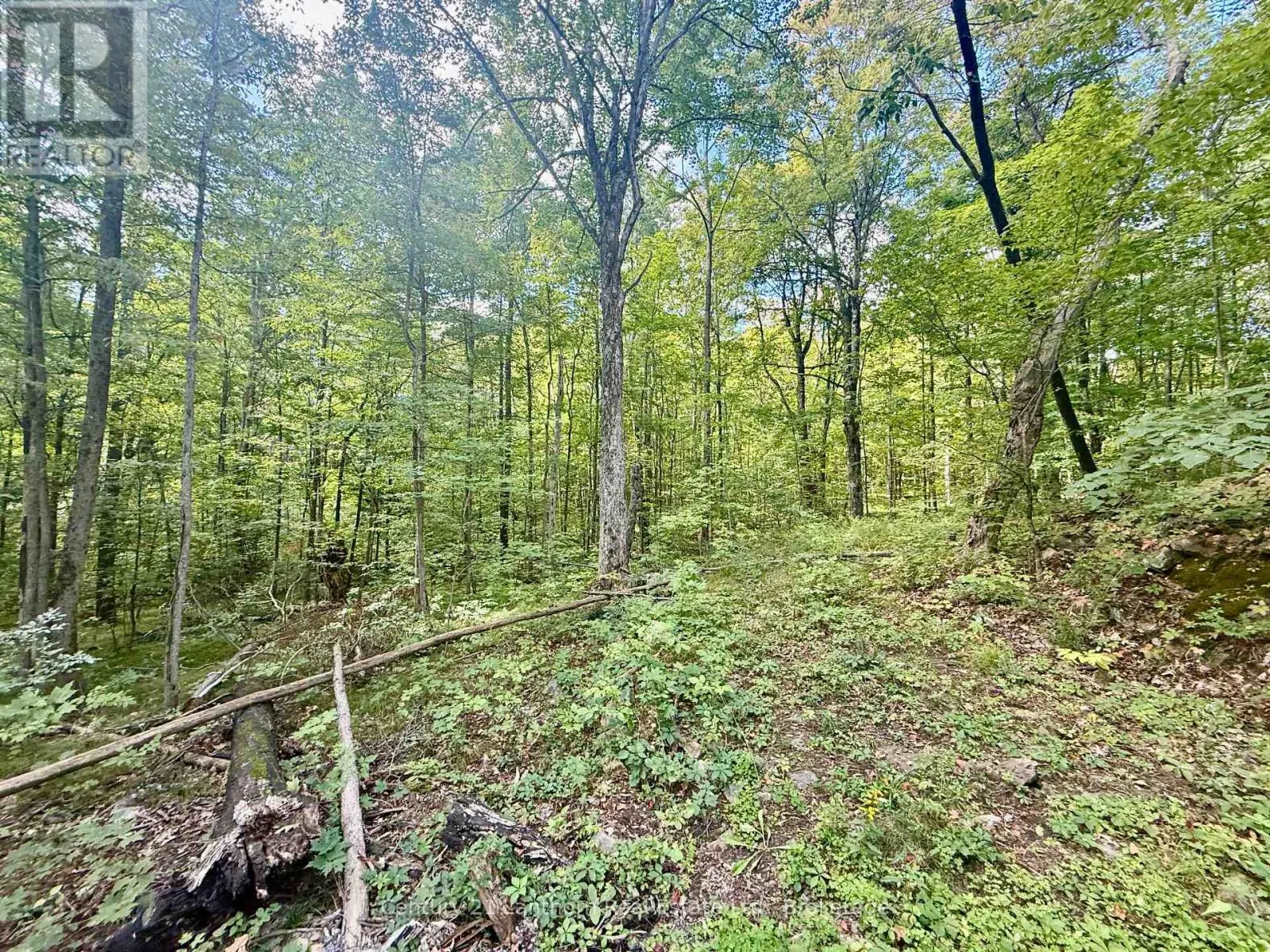 00 NORTH LOT HIGHWAY 62