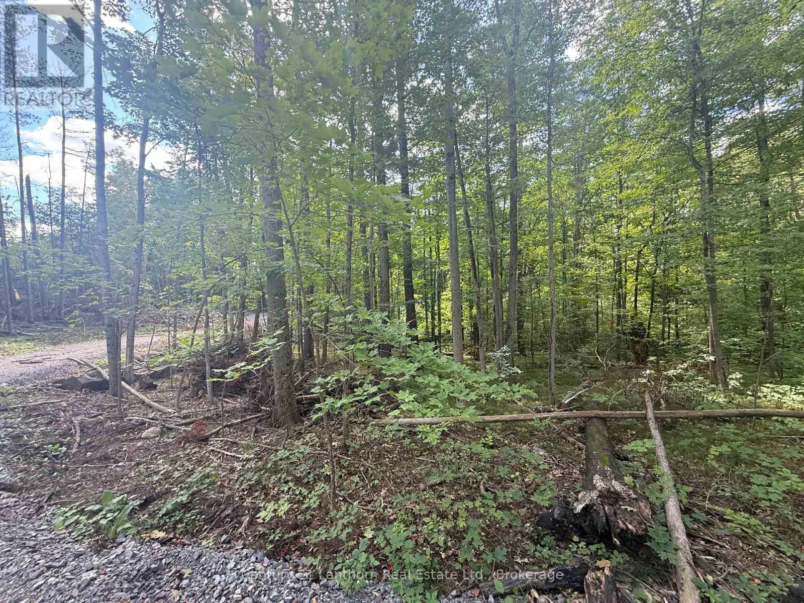 00 NORTH LOT HIGHWAY 62