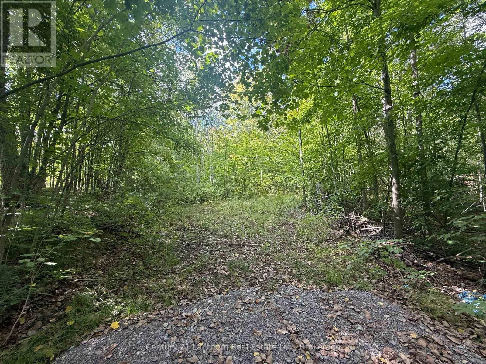 00 SOUTH LOT HIGHWAY 62