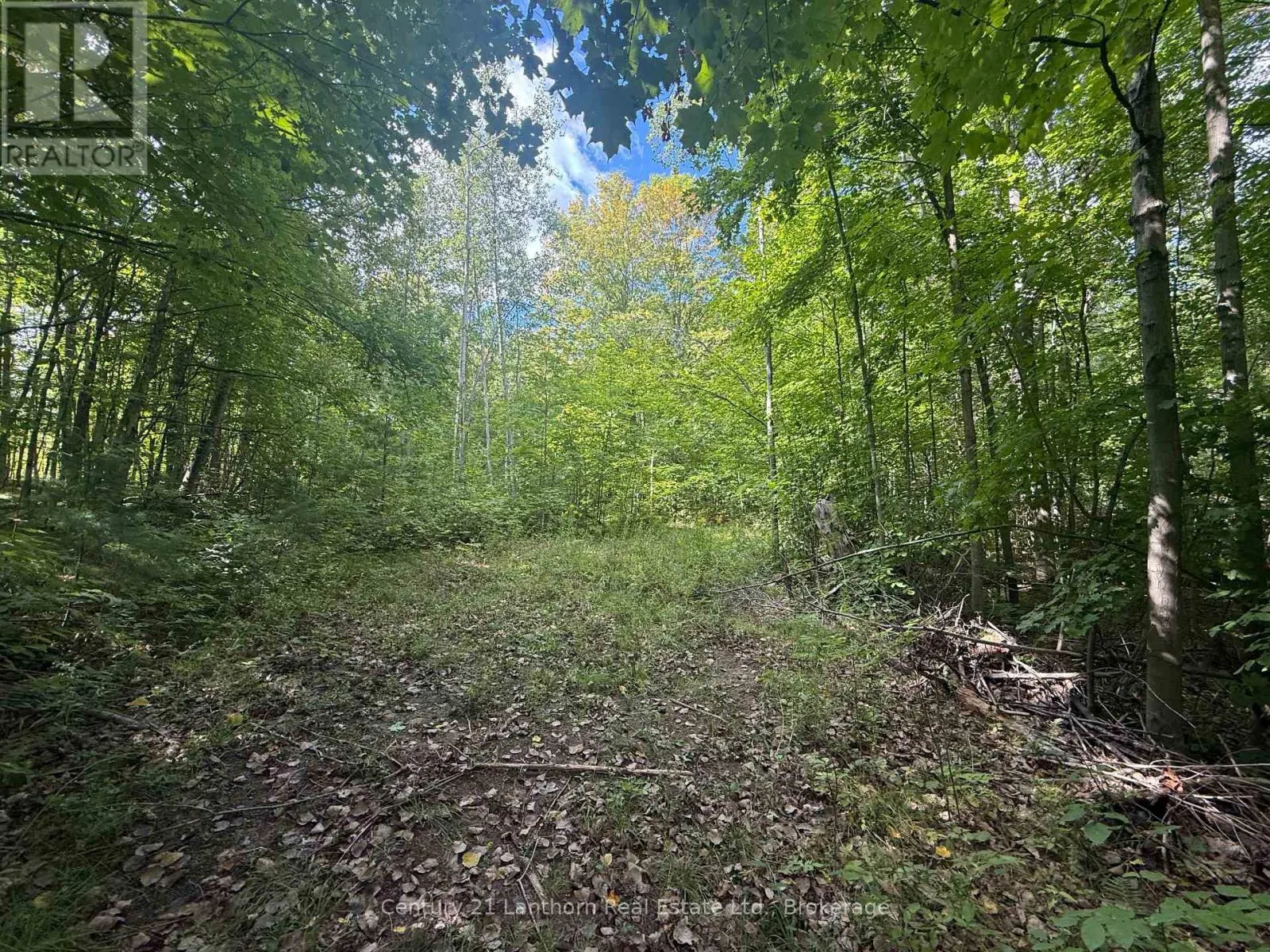 00 SOUTH LOT HIGHWAY 62