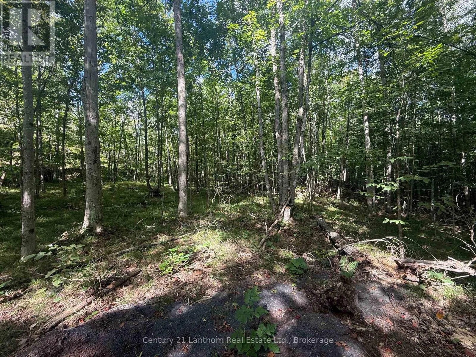 00 MIDDLE LOT HIGHWAY 62
