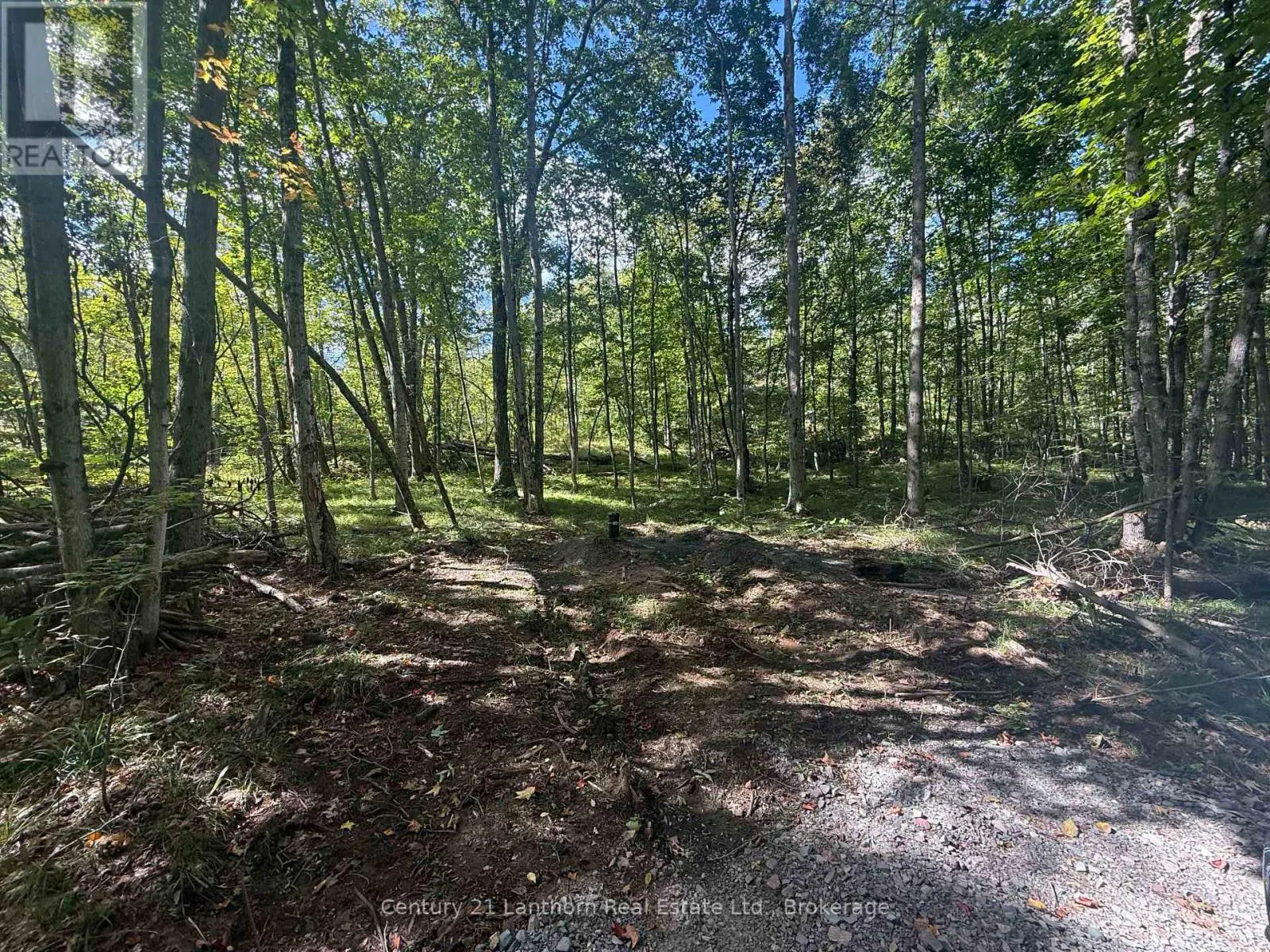 00 MIDDLE LOT HIGHWAY 62